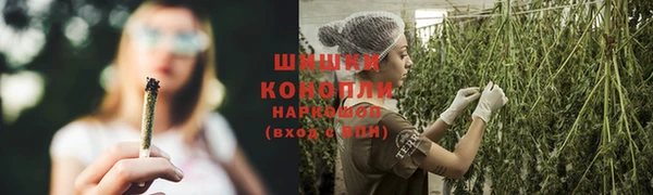 шишки Алексин