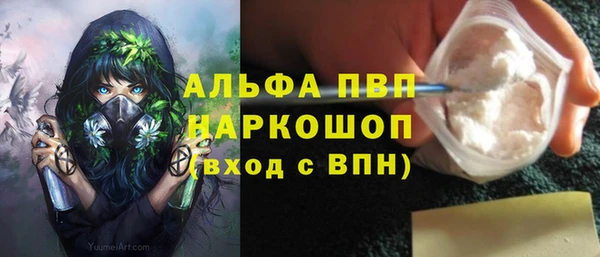 spice Дмитриев