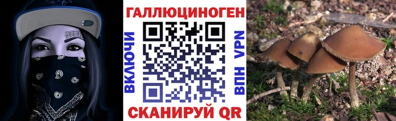 купить закладку  гидра tor  Псилоцибиновые грибы Psilocybine cubensis  Жуков 