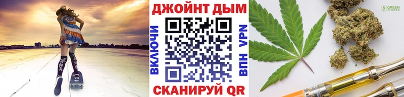 Конопля сатива  купить наркоту  Жуков 